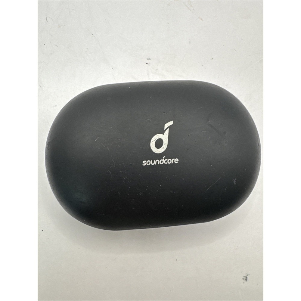 Anker Soundcore Spirit X2 True Wireless Earbuds BLACK – Used Good – Tested